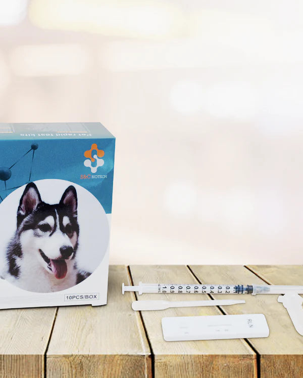 Everything You Need to Know About Dog Pregnancy Tests