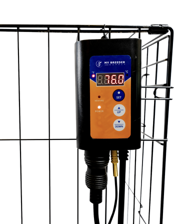 Thermostat - My Breeder Supply