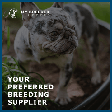 Your Preferred Breeding Supplier