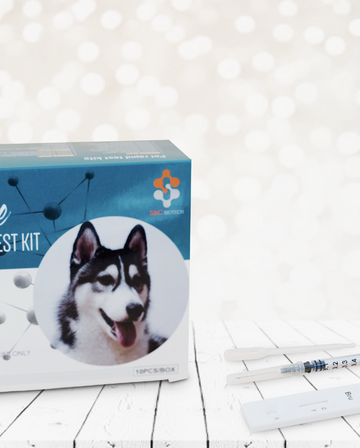 Canine Brucellosis Test Kit (5 ct.)